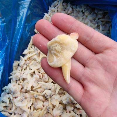 连云港农产品市场 供应、价格与网上交易平台全景分析