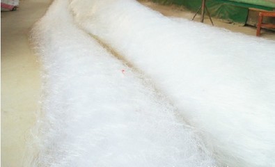 连云港润海渔网公司 提供优质实惠的渔网供应与产品图片