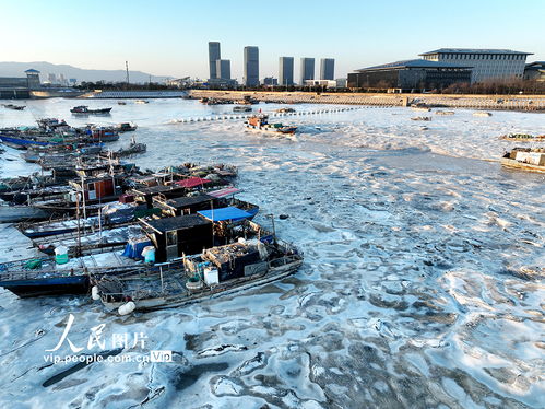 江苏连云港强寒潮来袭，海岸现大面积冰凌奇观