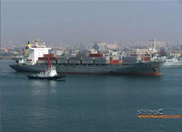 连云港进口报关行服务全解析