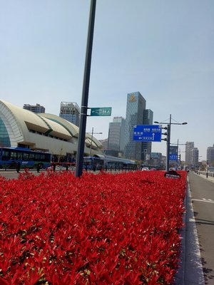 海滨大道与国展中心客运站 连云区的交通枢纽