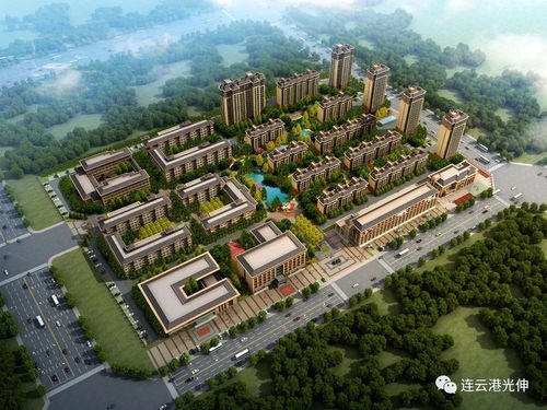 光伸三站连行 从文化寻根到夏日狂欢的港城一日